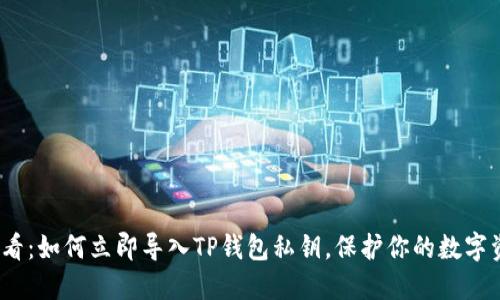 2025必看：如何立即导入TP钱包私钥，保护你的数字资产安全