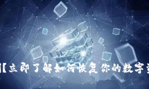 “比特币钱包被删？立即了解如何恢复你的数字资产的终极指南！”