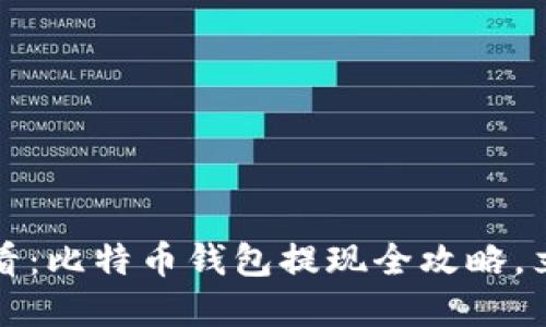 2025必看：比特币钱包提现全攻略，立即掌握！