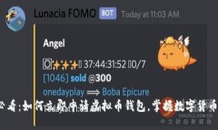 2025必看：如何立即申请虚