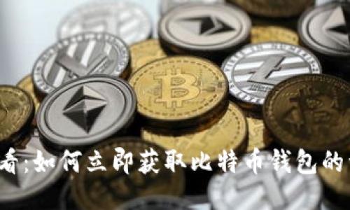 2025必看：如何立即获取比特币钱包的详细指南