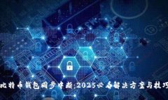 比特币钱包同步中断：2025必看解决方案与技巧