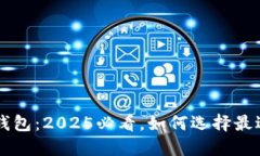 了解比特币钱包：2025必看