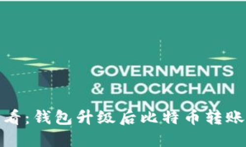 立即解决！2025必看：钱包升级后比特币转账不到账的解决方案