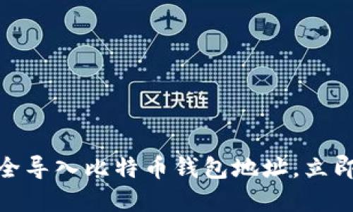 2025必看：如何安全导入比特币钱包地址，立即保护你的数字资产