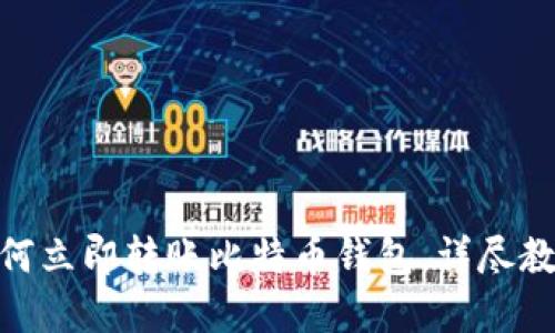 2025必看：如何立即转账比特币钱包，详尽教程与实用技巧
