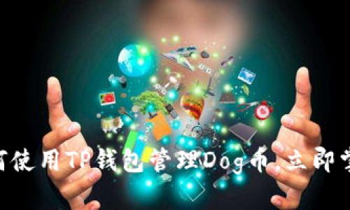 2025必看！如何使用TP钱包管理Dog币，立即掌握投资新机遇