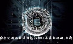 如何安全使用比特币钱包