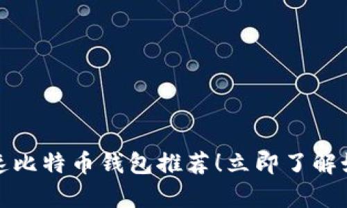 2025必看：最佳快速比特币钱包推荐！立即了解如何安全存储和交易