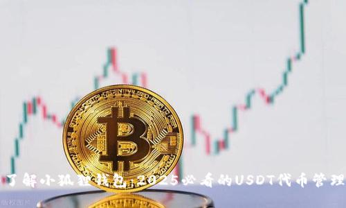 立即了解小狐狸钱包：2025必看的USDT代币管理工具