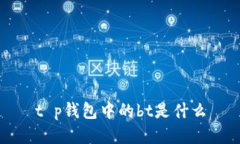 t p钱包中的bt是什么