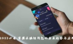 2025必看：苹果区块链钱包