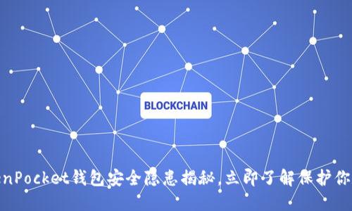 2025必看：TokenPocket钱包安全隐患揭秘，立即了解保护你数字资产的方法