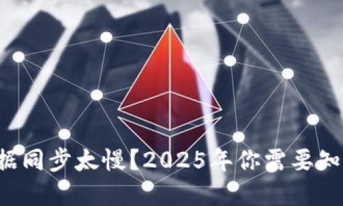 比特币钱包数据同步太慢？2025年你需要知道的解决方案！