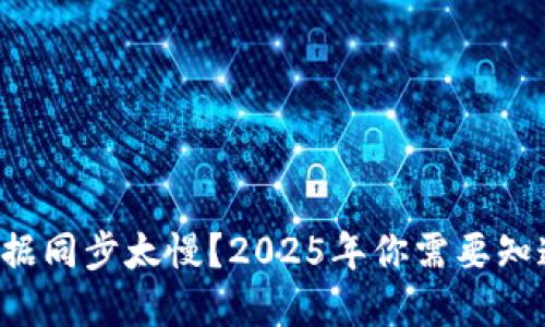 比特币钱包数据同步太慢？2025年你需要知道的解决方案！