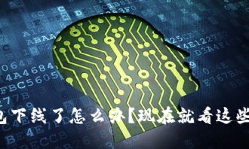 比特币钱包下线了怎么办？现在就看这些应对策略！