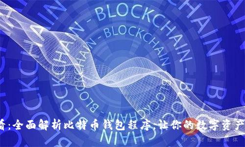 2025必看：全面解析比特币钱包程序，让你的数字资产安全无忧