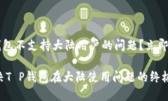 如何解决T P钱包不支持大