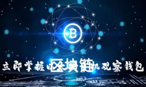 2025必看：立即掌握以太坊手机观察钱包的终极指南