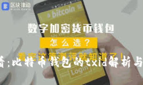 2025必看：比特币钱包的txid解析与应用指南