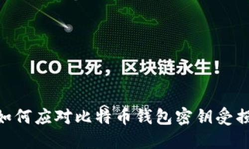 2025必看：如何应对比特币钱包密钥受损的紧急措施