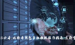2025必看：比特币钱包手机