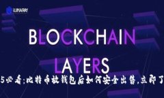2025必看：比特币放钱包后
