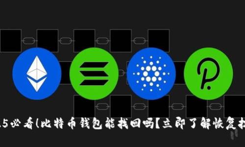 2025必看！比特币钱包能找回吗？立即了解恢复技巧！