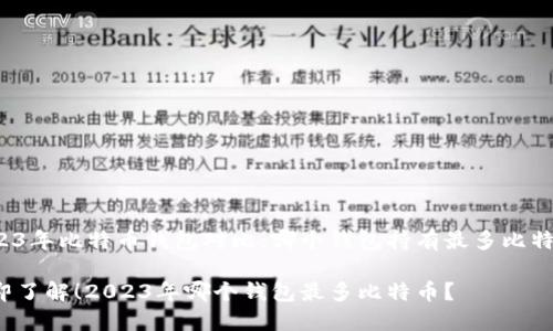 2023年比特币钱包对比：哪个钱包持有最多比特币？

立即了解！2023年哪个钱包最多比特币？