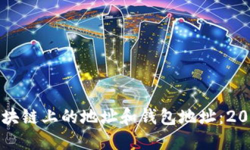 深入了解区块链上的地址和钱包地址：2025必看指南