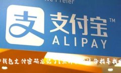 TP钱包支付密码忘记了？立