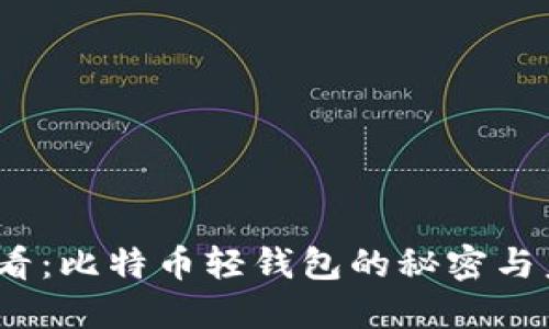 2025必看：比特币轻钱包的秘密与未来趋势