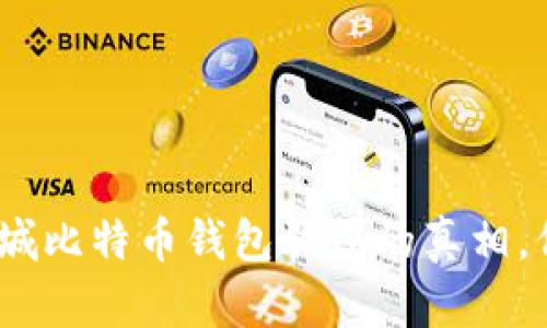 2025必看：揭露盐城比特币钱包骗局的真相，保护你的投资安全！