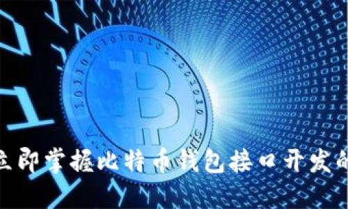 2025必看！立即掌握比特币钱包接口开发的工程师指南