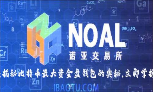 2025必看：揭秘比特币最大资金盘钱包的奥秘，立即掌握投资机会！