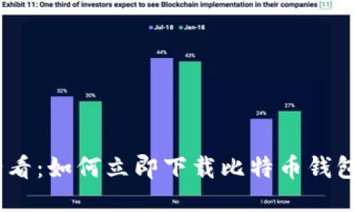 2025必看：如何立即下载比特币钱包并挖矿