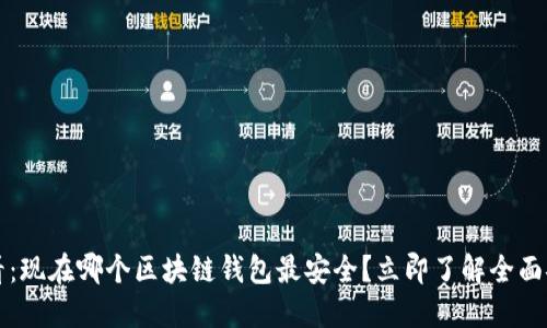 2025必看：现在哪个区块链钱包最安全？立即了解全面安全评测！