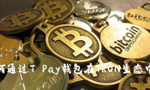 2025必看！如何通过T Pay钱包在TRON生态中实现快速推广