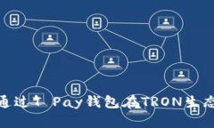 2025必看！如何通过T Pay钱