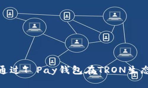 2025必看！如何通过T Pay钱包在TRON生态中实现快速推广