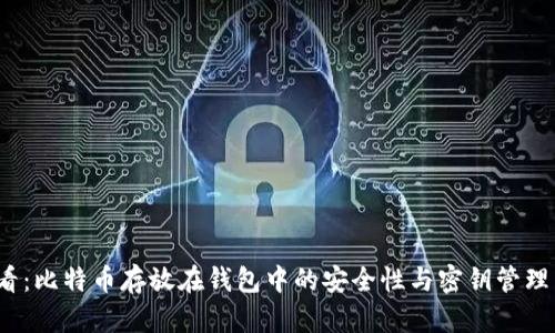 2025必看：比特币存放在钱包中的安全性与密钥管理立即了解
