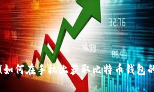 立即下载！如何在手机上获取比特币钱包的终极指南