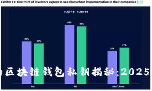 你必须知道的区块链钱包私钥揭秘：2025必看安全指南