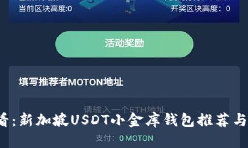 2025必看：新加坡USDT小金库钱包推荐与使用指南