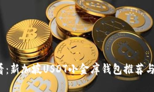 2025必看：新加坡USDT小金库钱包推荐与使用指南