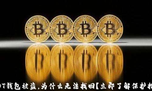 
USDT钱包被盗，为什么无法找回？立即了解保护措施！