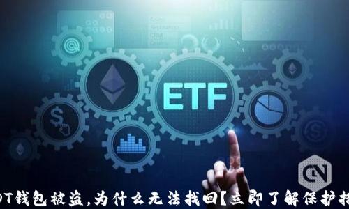 
USDT钱包被盗，为什么无法找回？立即了解保护措施！