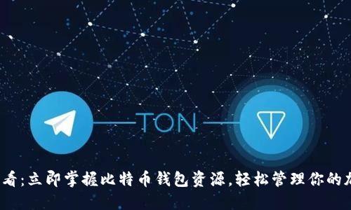 2025必看：立即掌握比特币钱包资源，轻松管理你的加密资产