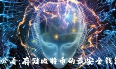   2025必看：存储比特币的
