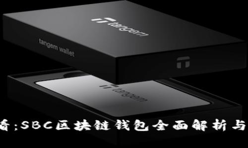 2025必看：SBC区块链钱包全面解析与使用指南